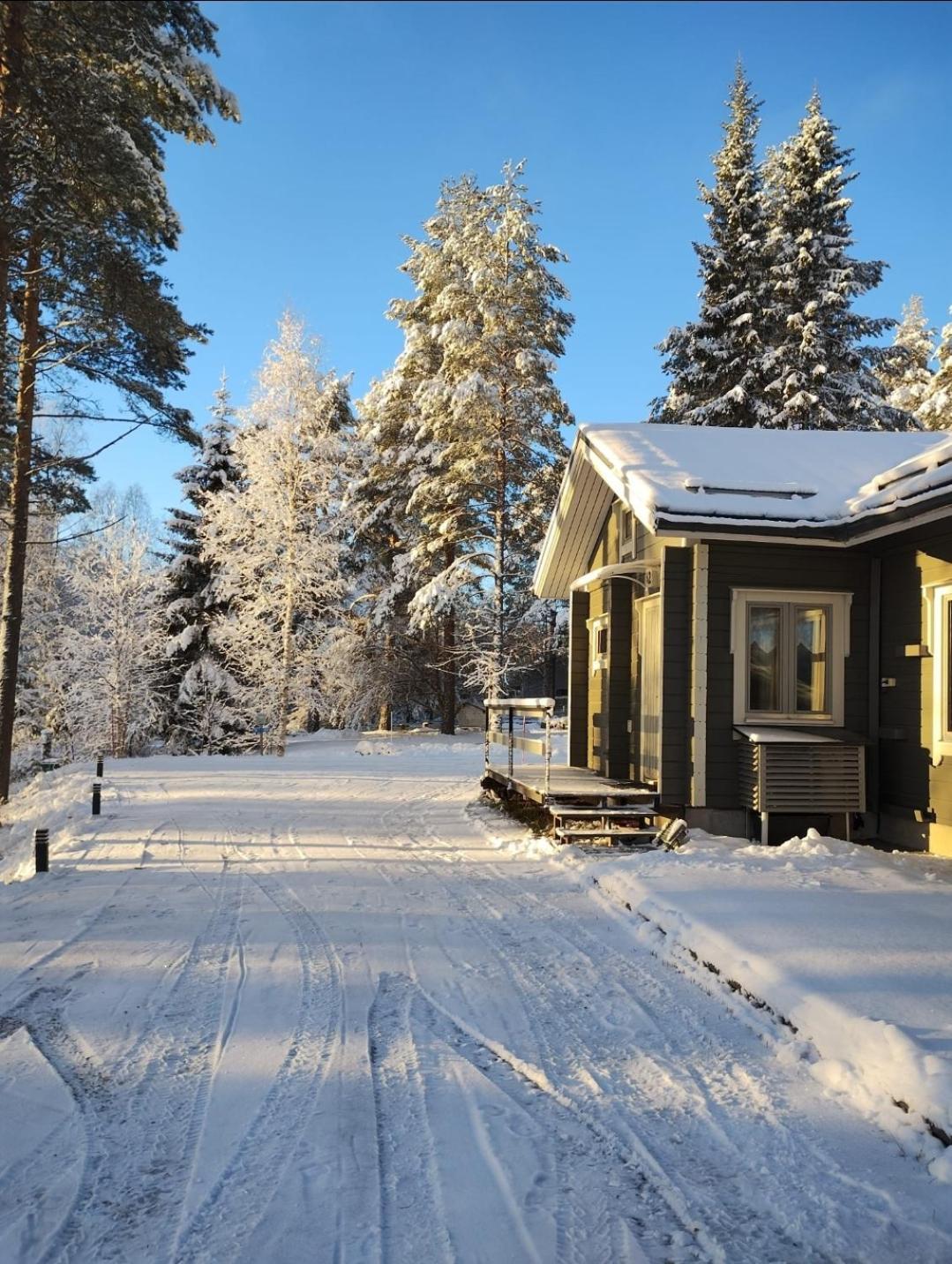 Villa Aleksi With Sauna Rovaniemi Buitenkant foto